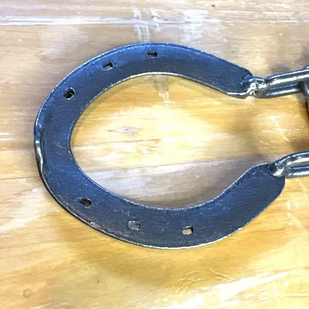 Horseshoe Chain Puzzle Hanayama Star Magic Trick Brain Teasers fun at home